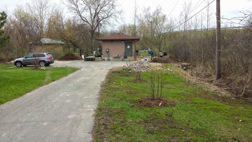 Winton Rain Garden (4)